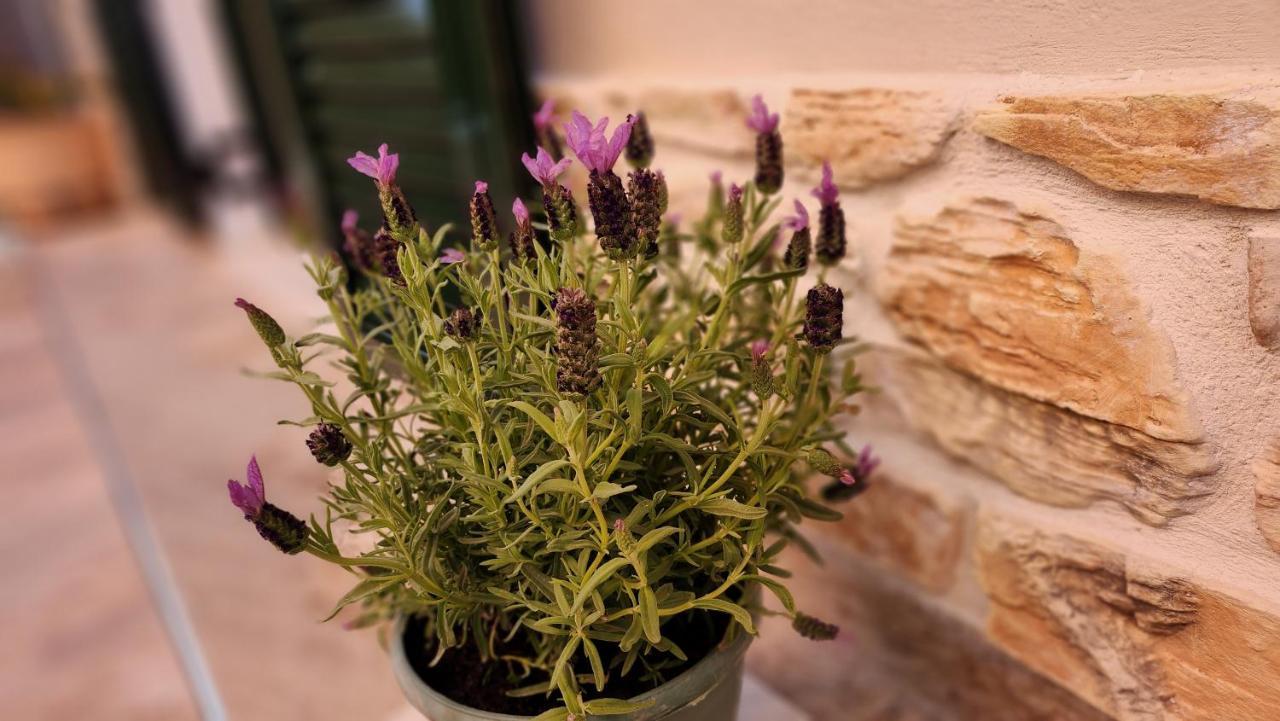Ferienwohnung Pieri House Corfu Ypsos Exterior foto