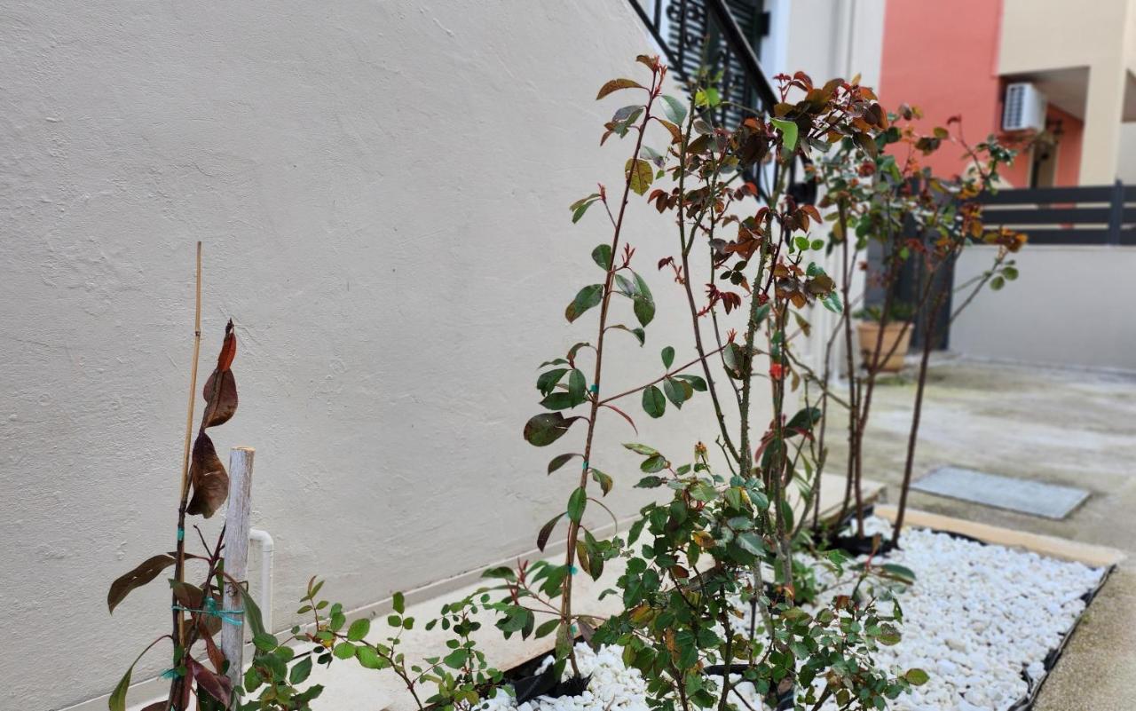 Ferienwohnung Pieri House Corfu Ypsos Exterior foto